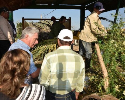 trabajadores sindicatos Miguel Díaz-Canel, Agricultura, Cuba, Vietnamita