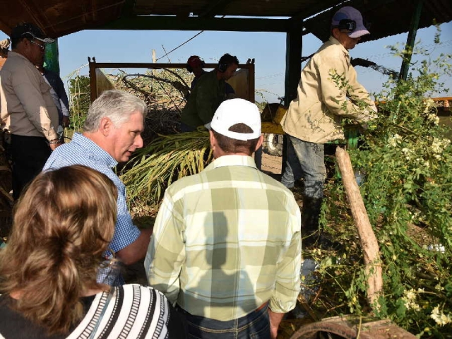 trabajadores sindicatos Miguel Díaz-Canel, Agricultura, Cuba, Vietnamita