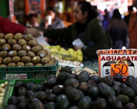 Avocado, tomato and egg put pressure on inflation in the first half of May