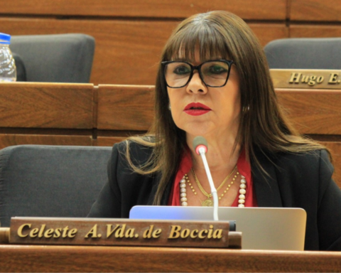 Celeste Amarilla calls for the ANR to be destroyed