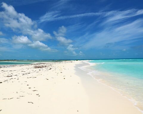 Playa Paraíso, una de las más celebradas en el polo turístico de Cayo Largo del Sur: Foto: Tomada de www.visitarcuba.org