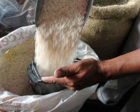 Colombian rice will be exported, for the first time, to the United States