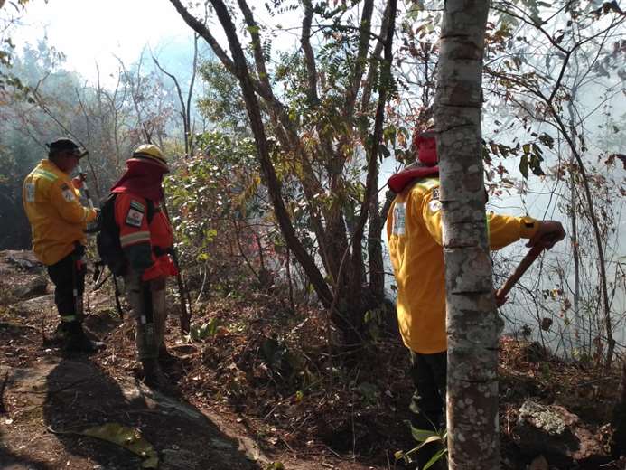 Concepción: fire enters the Orchid Sanctuary and firefighters delay their work due to lack of coordination