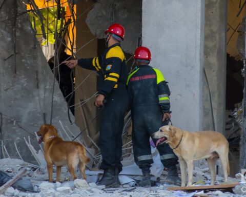 Rescatistas junto a sus perros durante las labores de rescate y salvamento en el hotel Saratoga, en La Habana. Foto: Otmaro Rodríguez.