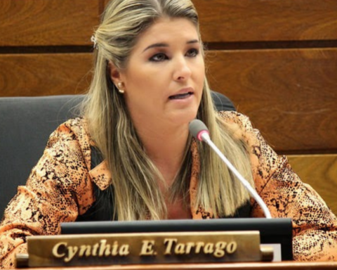 Cynthia Tarragó would request to be affiliated with the ANR again