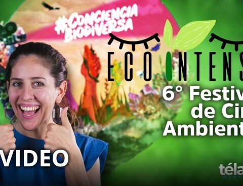 Ecointensa: Do you know what FINCA is?