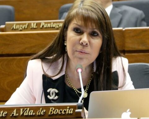 Euclides Acevedo is "a plan B of the Colorado Party," says Celeste Amarilla
