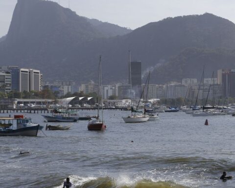 Event discusses conservation and future of Guanabara Bay