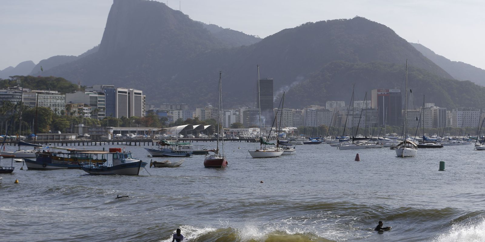 Event discusses conservation and future of Guanabara Bay