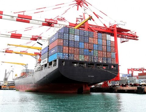 Export prices improved by 4.8% compared to imports