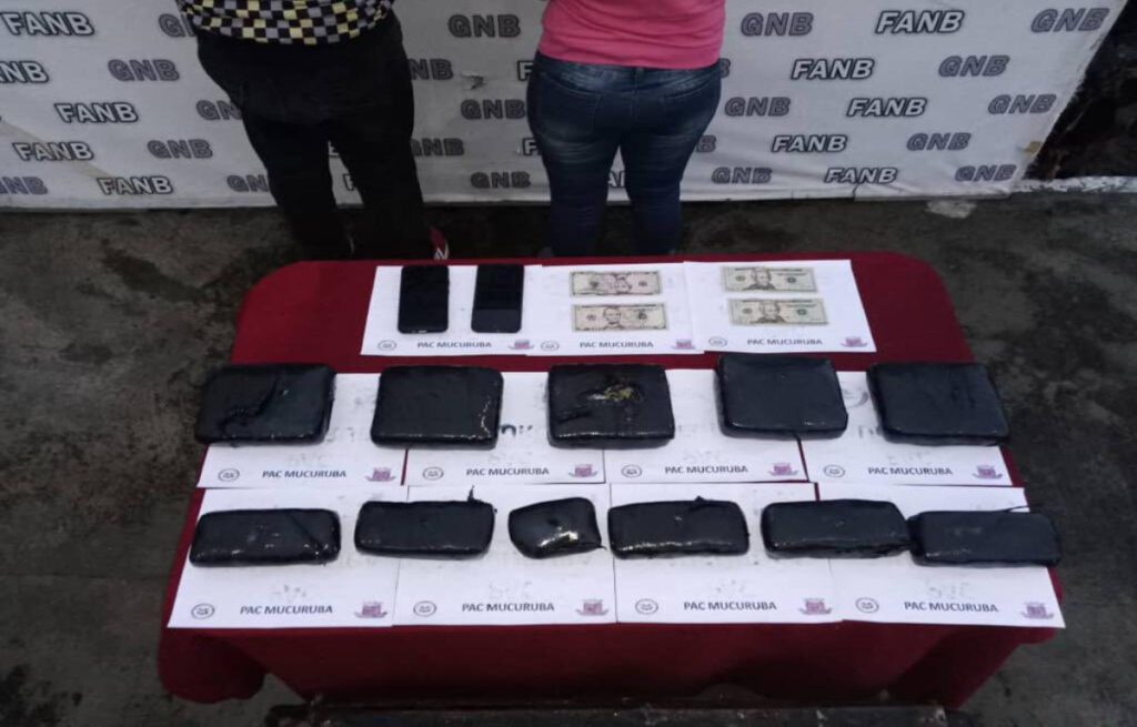 FANB detects 52 Tancol marijuana panels in Mérida and Carabobo