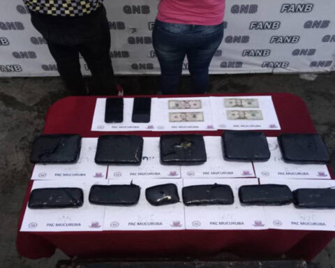 FANB detects 52 Tancol marijuana panels in Mérida and Carabobo