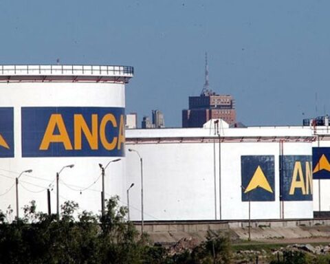 FANCAP: How strange that ANCAP's back ended after the referendum.  It was all a story