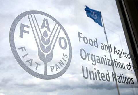 La FAO entregará 67,3 millones de dólares a Nicaragua entre 2022-2026