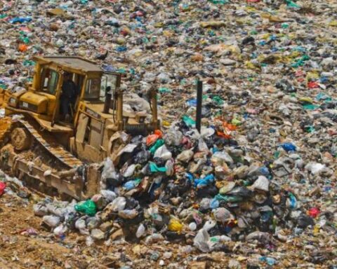 'Garbage from landfills would supply 50% of fertilizers'