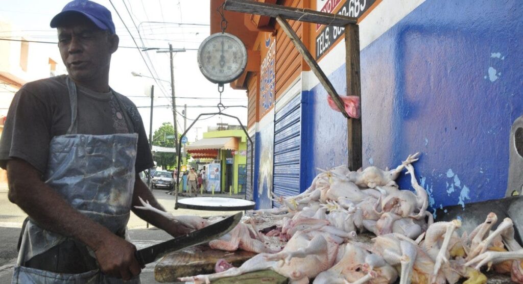 Gobierno subsidiará el maíz para evitar que precio pollo aumente