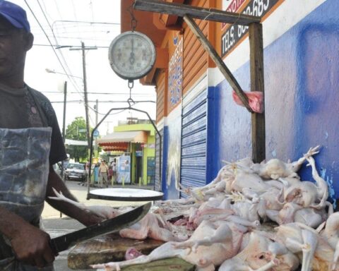 Gobierno subsidiará el maíz para evitar que precio pollo aumente