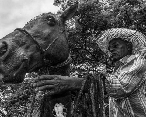 Hacienda La Trinidad exhibits "Living relics of the plain" by Luis Julio Toro