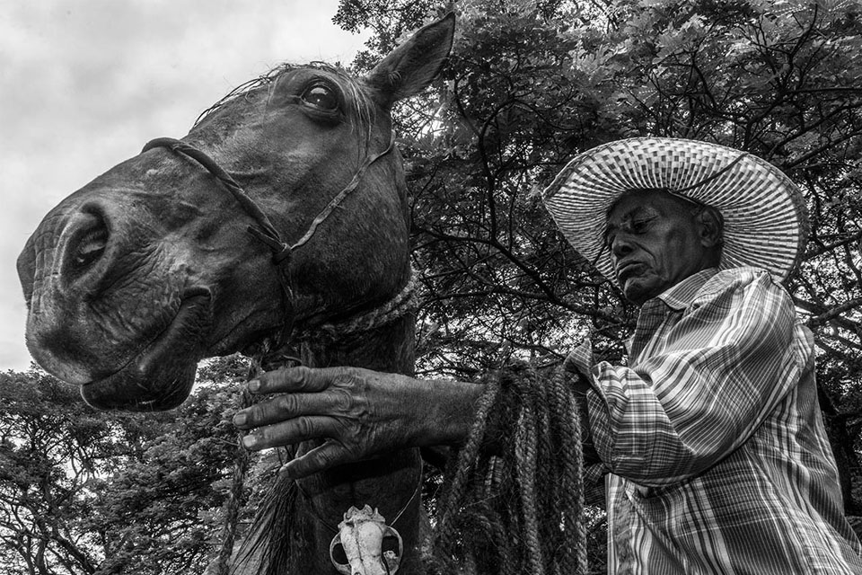 Hacienda La Trinidad exhibits "Living relics of the plain" by Luis Julio Toro