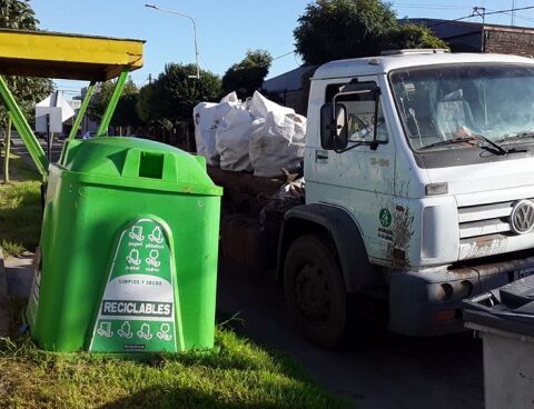 Half of household waste is organic and can be recycled