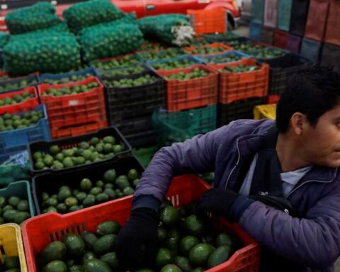 How much for avocado, chicken and tomato?  Mexico is the fourth country with the highest food inflation in the G20