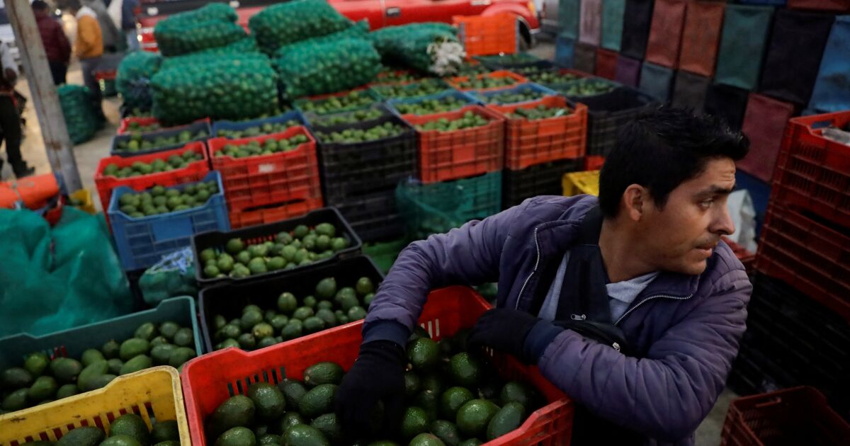 How much for avocado, chicken and tomato?  Mexico is the fourth country with the highest food inflation in the G20