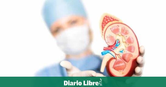 Hypertensive patients suffer kidney damage