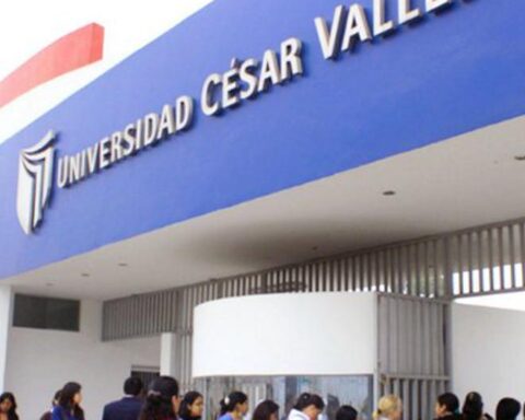 "I feel like I'm cheating the students," says a UCV teacher who teaches courses that are not his specialty