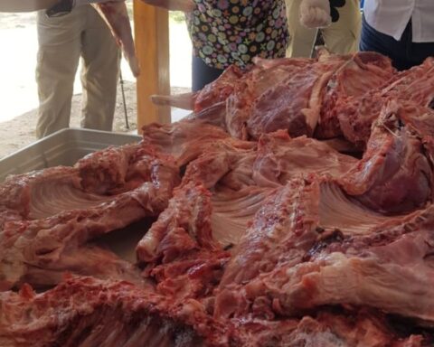 In Santa Cruz they seize about 80 kilograms of wild animal meat