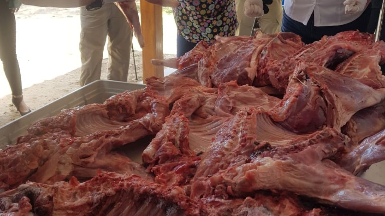 In Santa Cruz they seize about 80 kilograms of wild animal meat