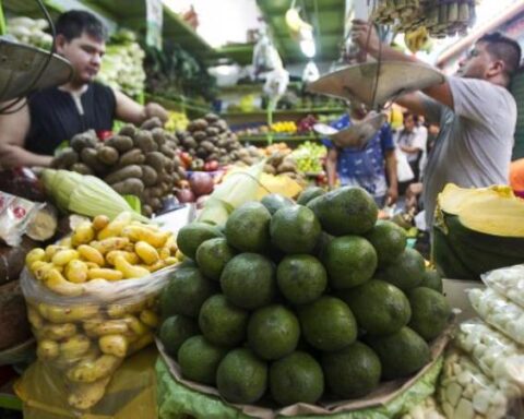 Inflation expected to moderate gradually from May