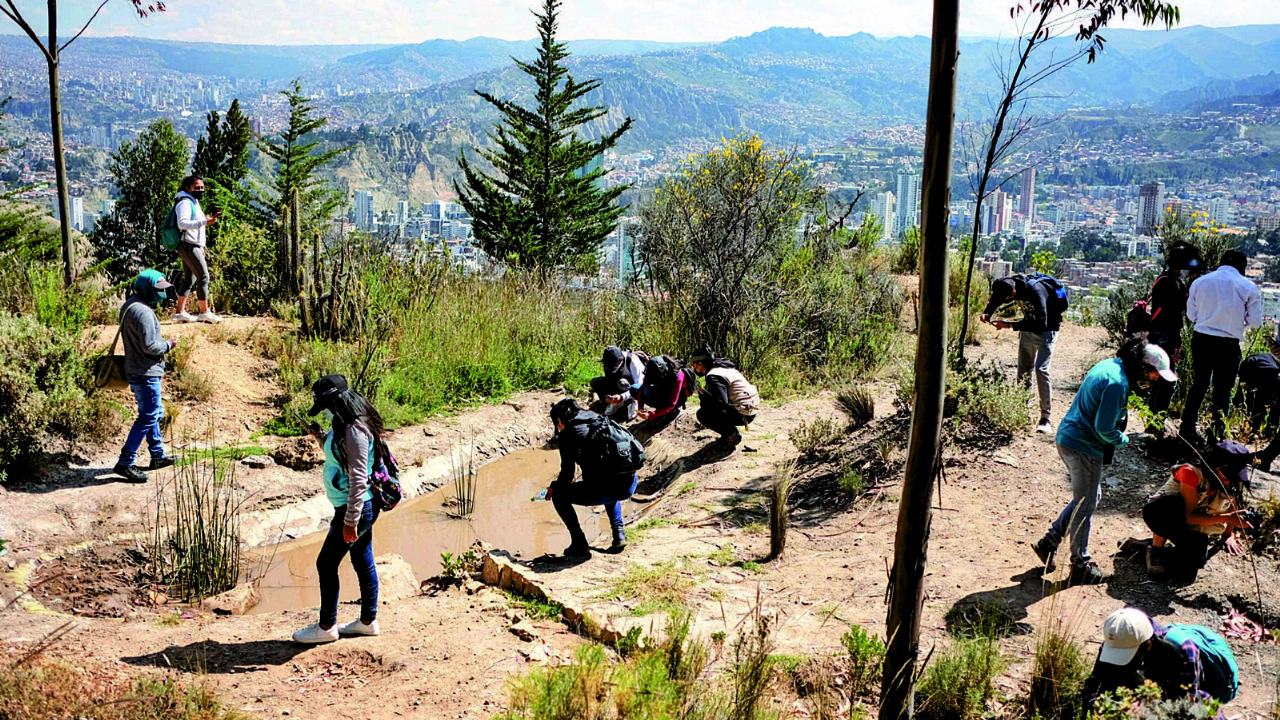 La Paz, leader of the world event City-Nature Challenge