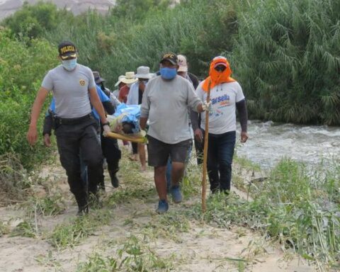 Man falls into river and dies after bee attack in Cusco