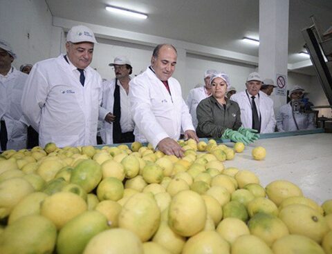 Manzur: "Argentina aims to lead the global lemon market"