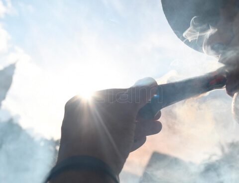 March to Congress against the criminalization of cannabis cultivation and users