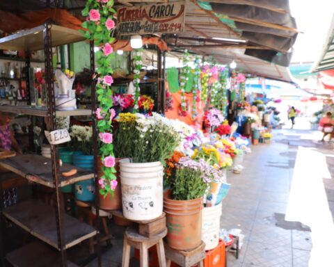 Market 4: Eight decades steeped in history