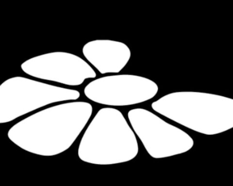 May "month of memory" towards the historic march of 20