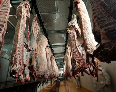 Meat prices will continue to rise in the remainder of 2022