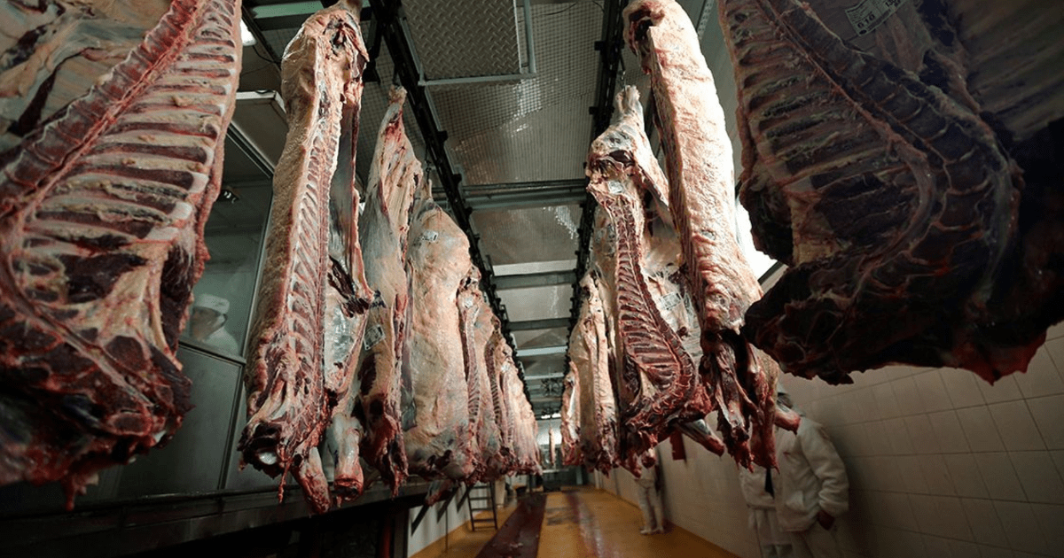 Meat prices will continue to rise in the remainder of 2022