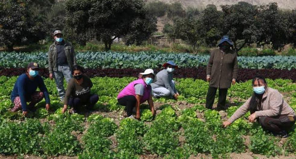 Midagri seeks to buy fertilizers from Venezuela, Bolivia and Morocco