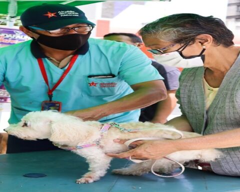 Más de 200 mascotas caraqueñas reciben atención veterinaria