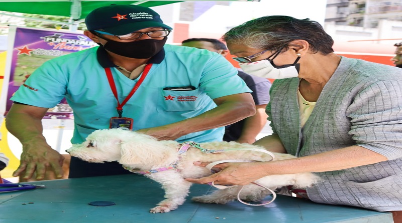 Más de 200 mascotas caraqueñas reciben atención veterinaria