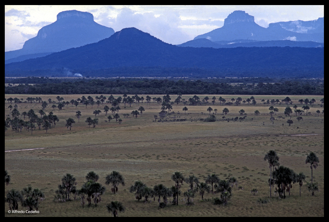 NGO Clima21 calls to defend the National Parks of Venezuela