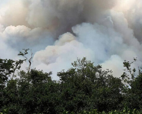 Nicaragua registers more forest fires in protected areas