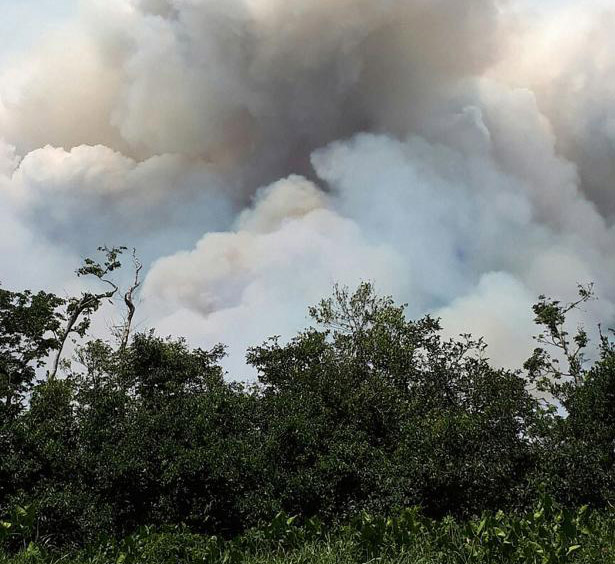 Nicaragua registers more forest fires in protected areas