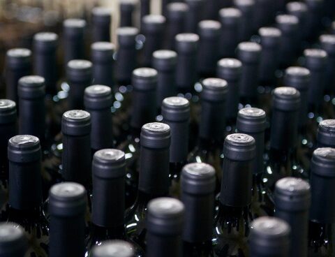 Organic wine production grows in Argentina, as well as consumption