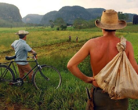 Día del campesino, Cuba, Campesino, tierras