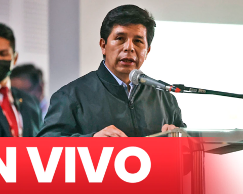 Pedro Castillo LIVE: Plenary will appoint the members of the Constitutional Court today