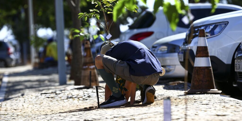 Planalto sustainability program plants ipês in parking lot