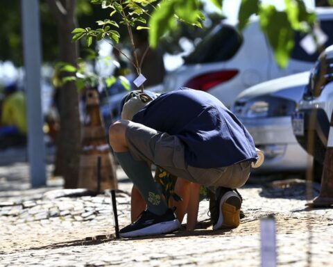 Planalto sustainability program plants ipês in parking lot